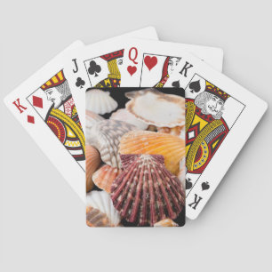 Detail Of Seashells From Around The World 2 Playing Cards