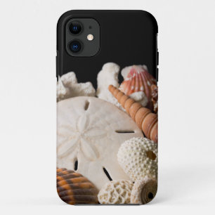 Detail Of Seashells From Around The World Case-Mate iPhone Case