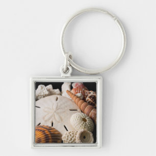 Detail Of Seashells From Around The World Key Ring