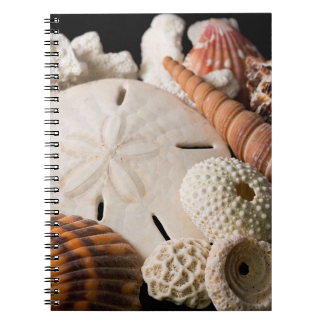 Detail Of Seashells From Around The World Spiral Notebook (Front)