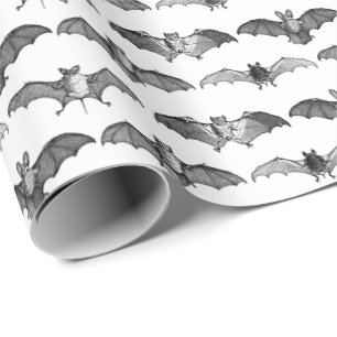 Detailed Bats Species Illustrations Pattern White Wrapping Paper