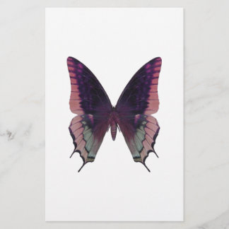 Detailed Butterfly Pink