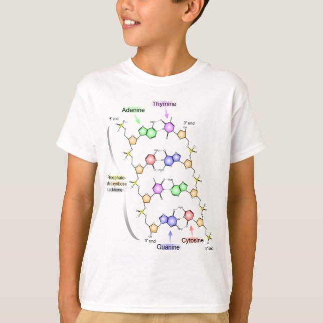 Detailed Diagram of the Chemical structure of DNA T-Shirt (Front)