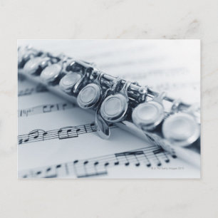 Detailed Flute Postcard