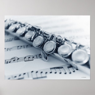 Detailed Flute Poster