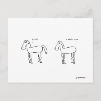 detailed horse postcard