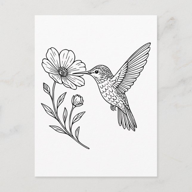 Detailed Hummingbird Line Art with Wildflower Postcard (Front)