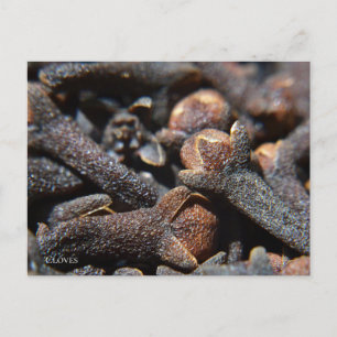 Detailed Macro View of Cloves Herb Postcard