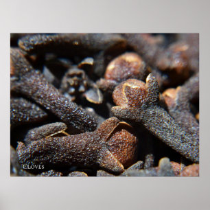 Detailed Macro View of Cloves Herb Poster