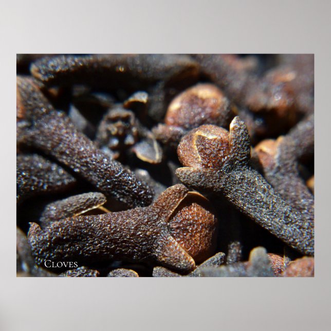 Detailed Macro View of Cloves Herb Poster (Front)