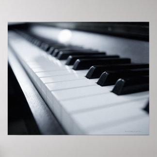 Detailed Piano Keys Poster