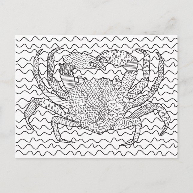 Detailed Sea Crab Doodle Postcard (Front)