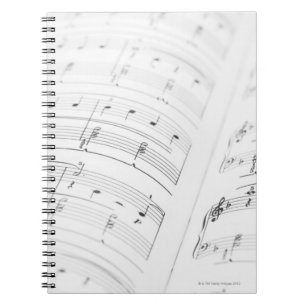 Detailed Sheet Music 3 Spiral Notebook