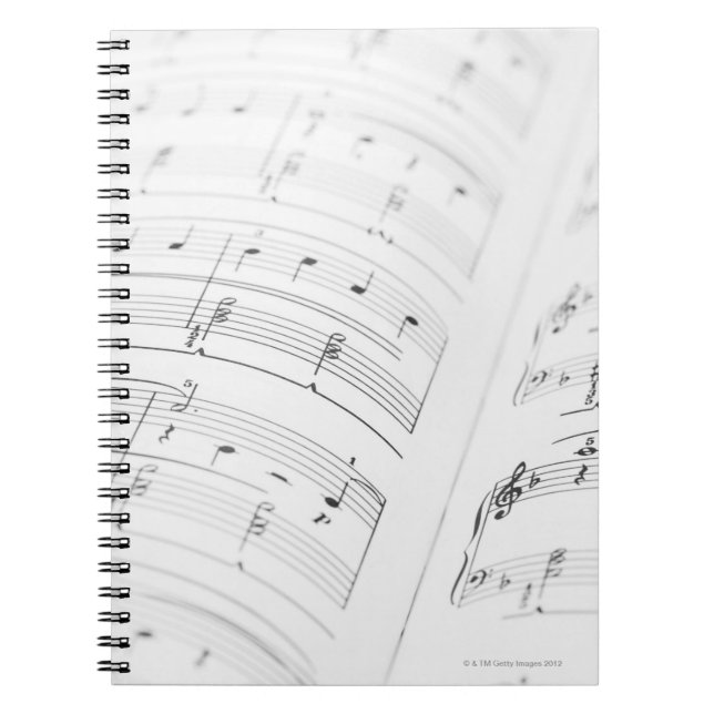 Detailed Sheet Music 3 Spiral Notebook (Front)