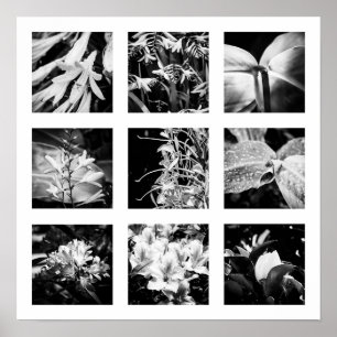 Details of Nature series - Flowers 2 Poster