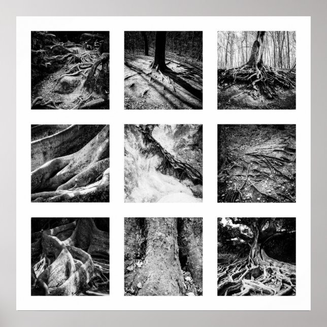 Details of Nature series - Roots poster (Front)