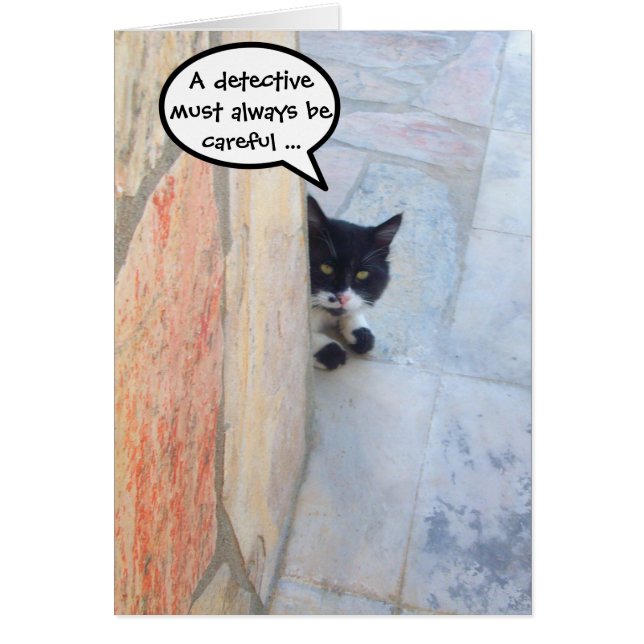 DETECTIVE CAT BEHIND THE STONE WALL (Front)