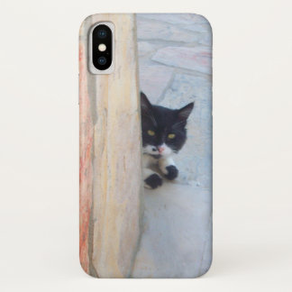 DETECTIVE CAT BEHIND THE STONE WALL Case-Mate iPhone CASE