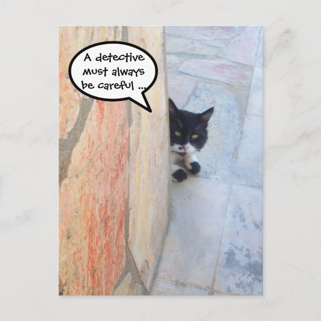 DETECTIVE CAT BEHIND THE STONE WALL / Father's Day Postcard (Front)