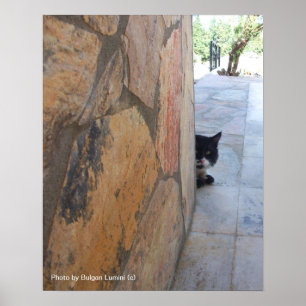 DETECTIVE CAT BEHIND THE STONE WALL / Father's Day Poster