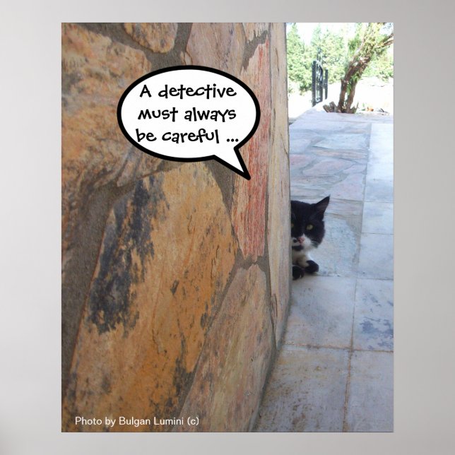 DETECTIVE CAT BEHIND THE STONE WALL / Father's Day Poster (Front)
