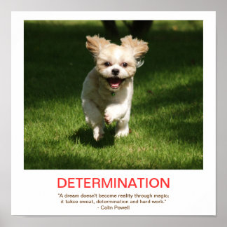 DETERMINATION demotivational poster