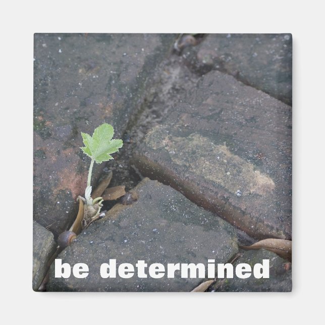 "determination" refrigerator magnet (Front)