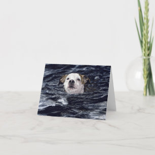"Determination" - Swimming Dog Card