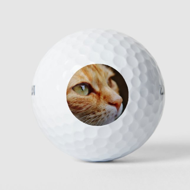 Determined Face of a Ginger Cat Golf Balls (Front)