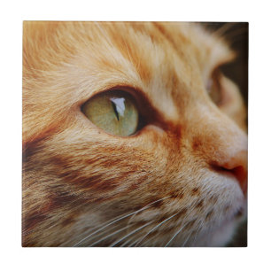 Determined Face of a Ginger Cat Tile