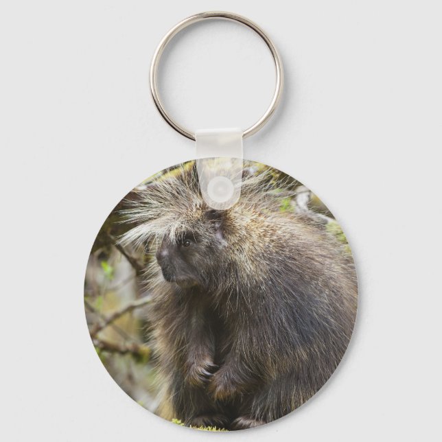 Determined Porcupine Key Ring (Front)