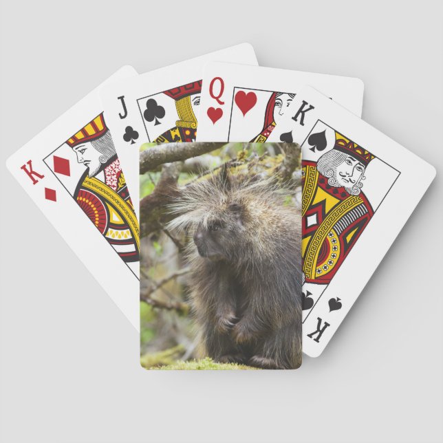Determined Porcupine Playing Cards (Back)