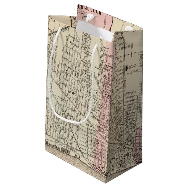 Detroit Small Gift Bag (Back Angled)