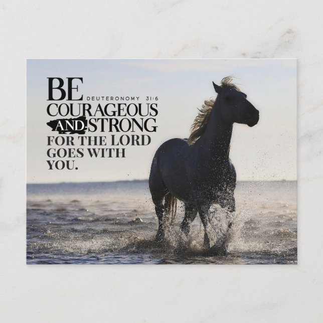 Deuteronomy 31:6 Be Courageous and Strong Horse  Postcard (Front)