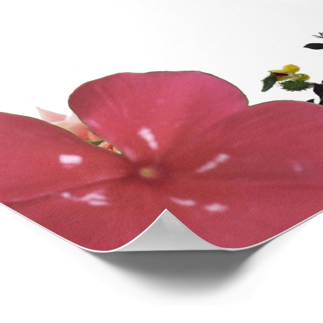 Deuteronomy 31, Do not be afraid, Red Floral Poster (Corner)