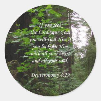 Deuteronomy 4:29 ~ Seek the Lord Classic Round Sticker