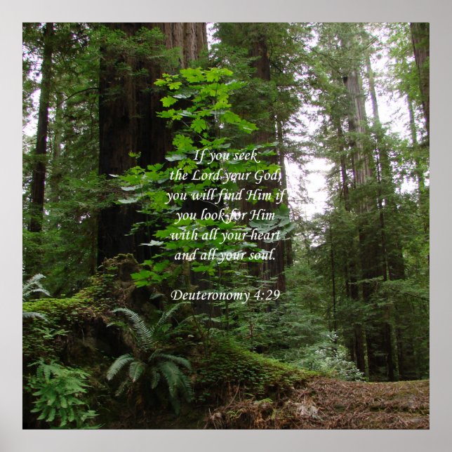 Deuteronomy 4:29 ~ Seek the Lord Poster (Front)