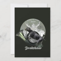 Deutsch Drahthaar