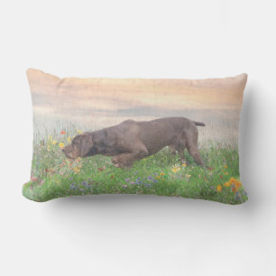 Deutsch Drahthaar Lumbar Cushion