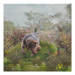 Deutsch Drahthaar Poster