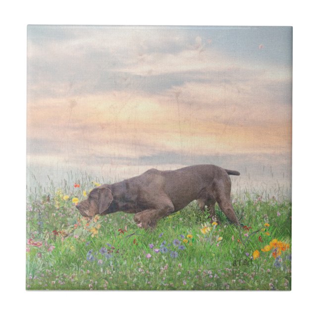 Deutsch Drahthaar     Tile (Front)