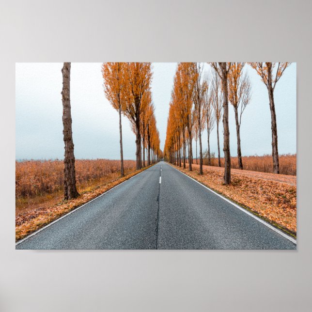 Deutsche Alleenstraße Poster (Front)