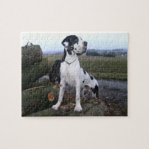 Deutsche Dogge, Great Dane, Dogs, Dogue Allemand Jigsaw Puzzle