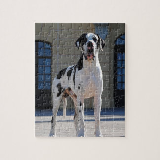 Deutsche Dogge, Great Dane, Dogs, Dogue Allemand Jigsaw Puzzle