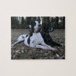 Deutsche Dogge, Great Dane, Dogs, Dogue Allemand Jigsaw Puzzle