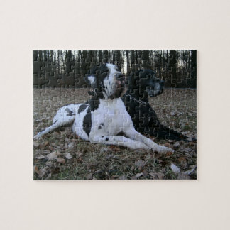 Deutsche Dogge, Great Dane, Dogs, Dogue Allemand Jigsaw Puzzle