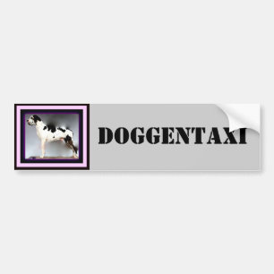 Deutsche Dogge, Great Dane, Harlekin, Taxi, Sticke Bumper Sticker