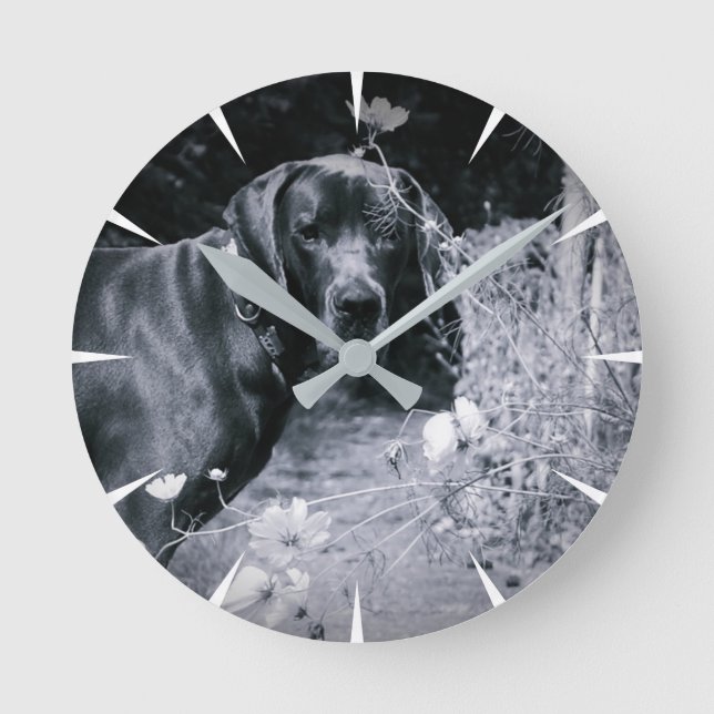 Deutsche Doggen Fotos Round Clock (Front)