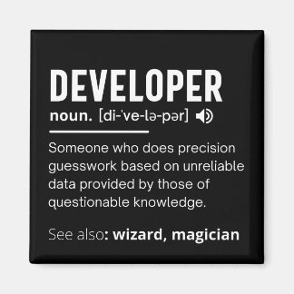 Developer Dictionary Definition Funny developers Magnet