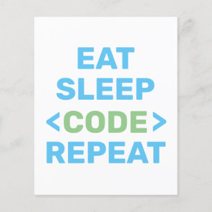 DEVELOPER PROGRAMMER CODING FLYER